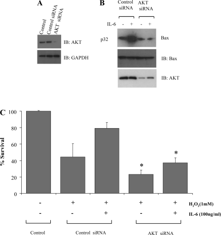 Fig. 9.