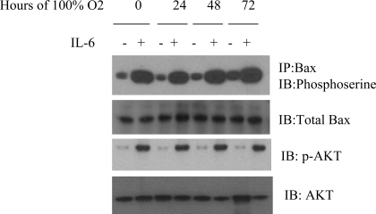 Fig. 10.