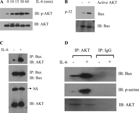 Fig. 7.