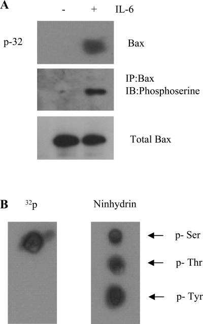 Fig. 5.