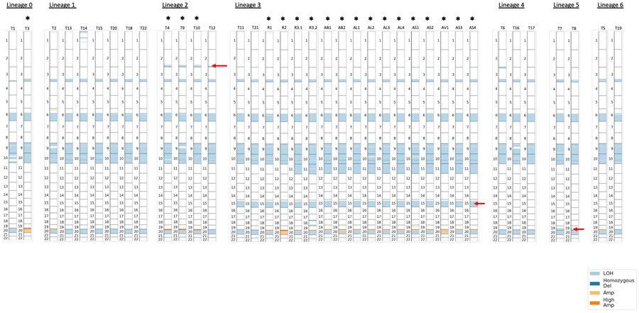 Extended Data Figure 3.