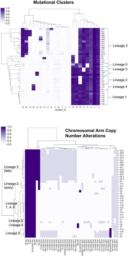 Extended Data Figure 5.