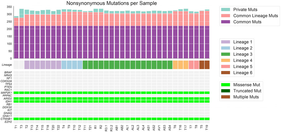 Extended Data Figure 1.