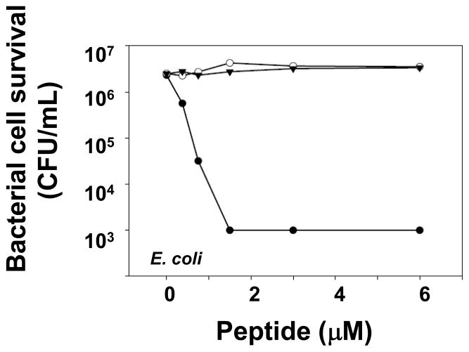 Fig. 5