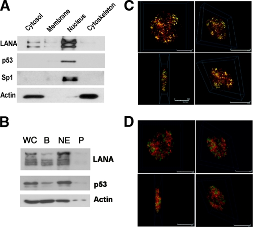 FIG. 7.