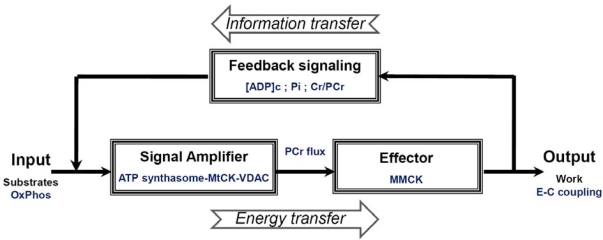 Scheme 3.