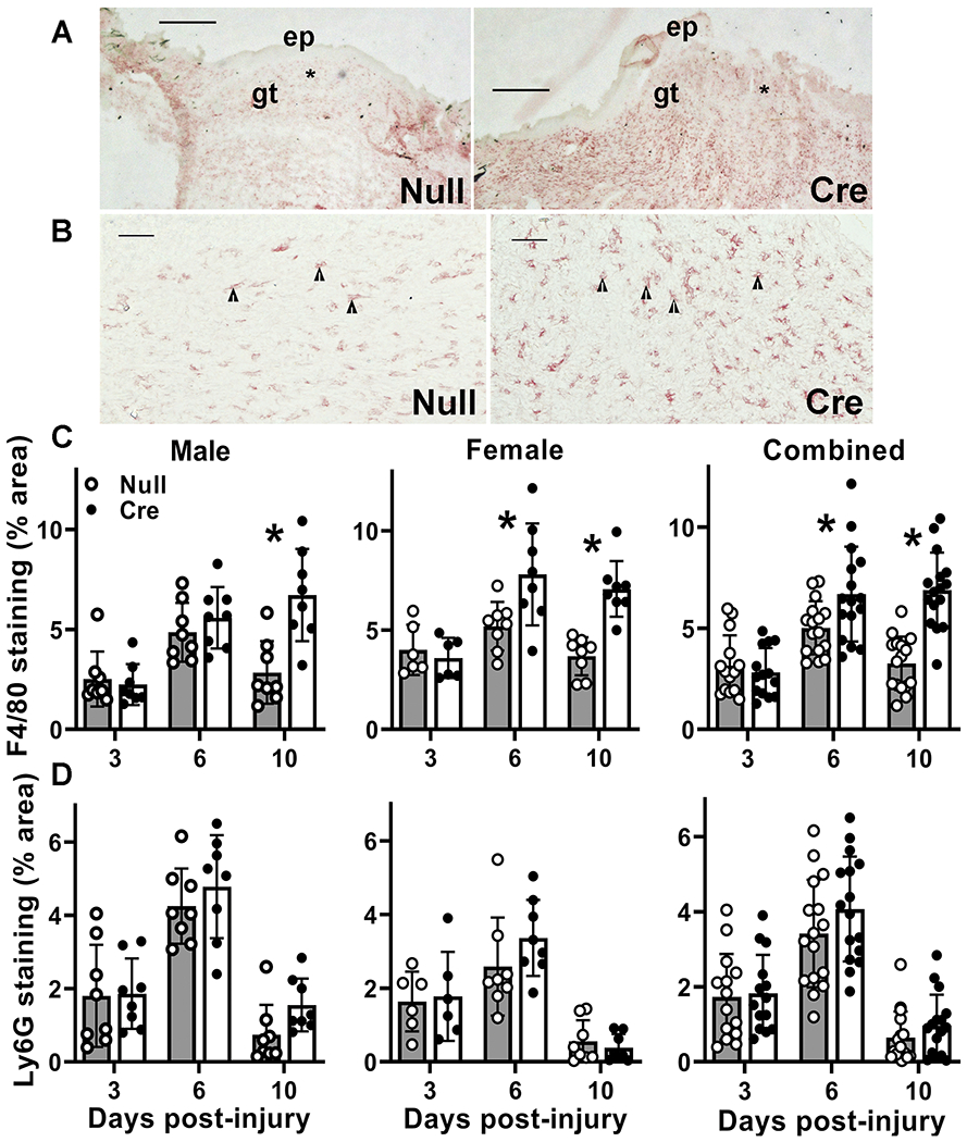 Figure 6.