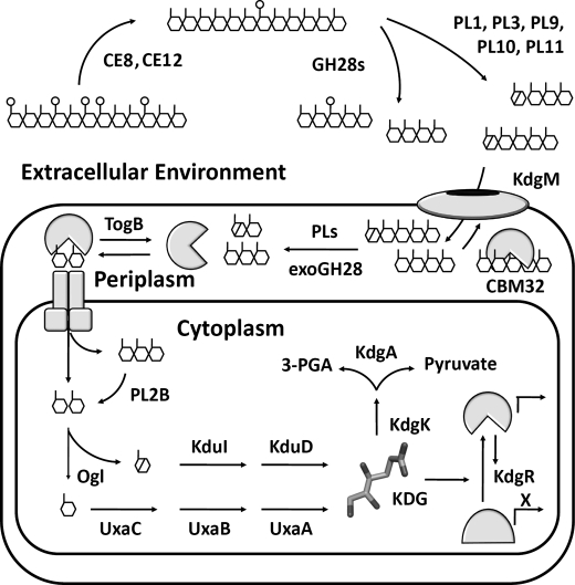 FIGURE 1.