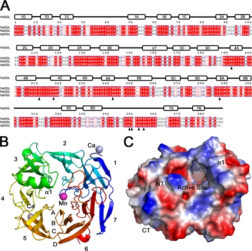 FIGURE 3.