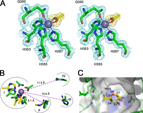 FIGURE 4.