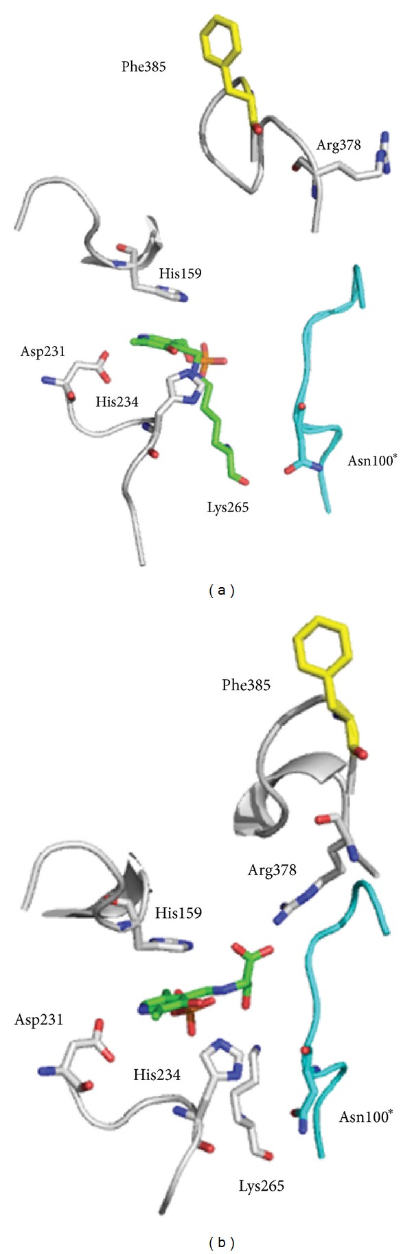 Figure 7