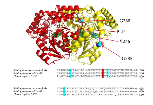 Figure 2