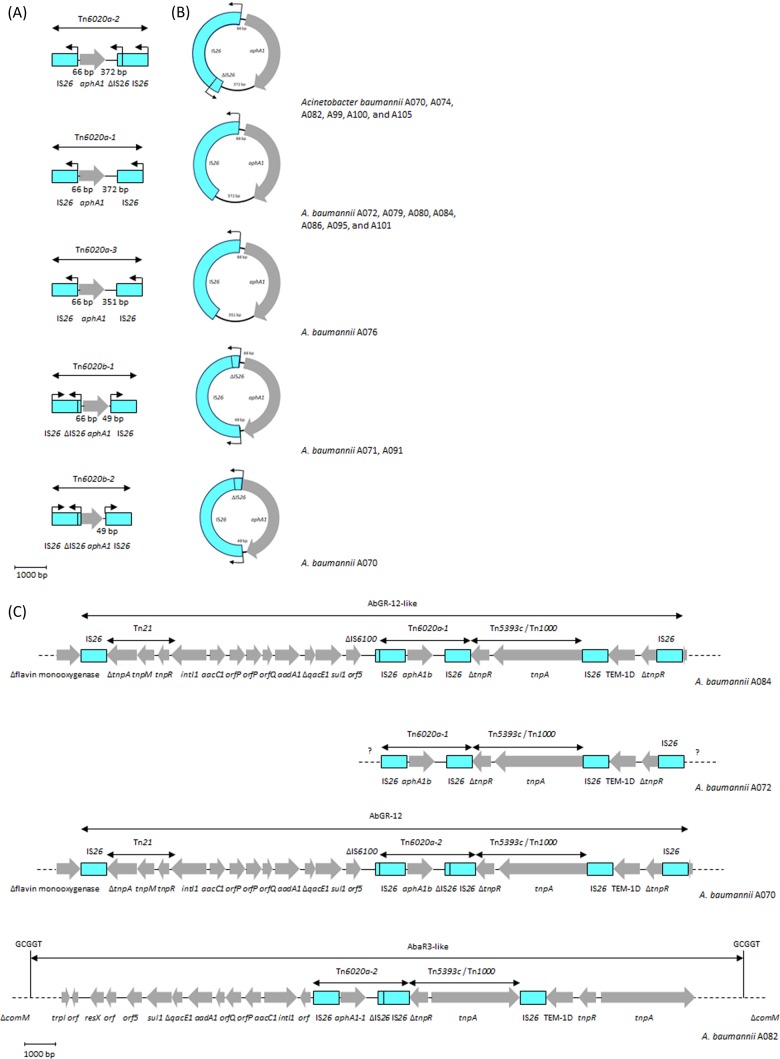 FIG 6