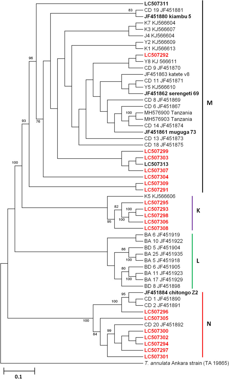 Fig. 3