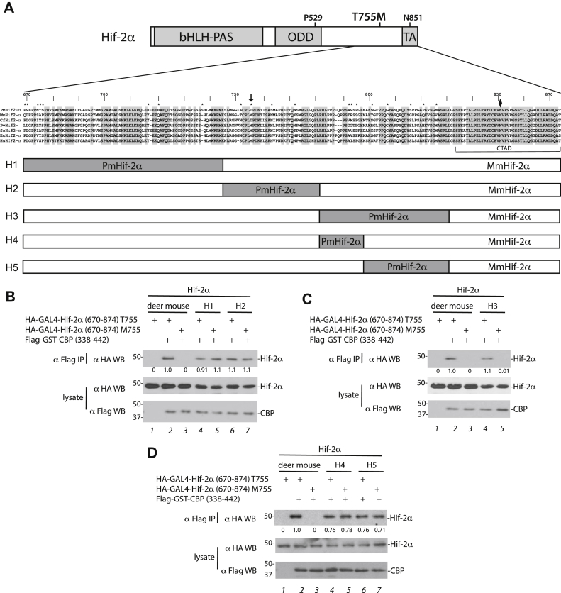 Figure 4