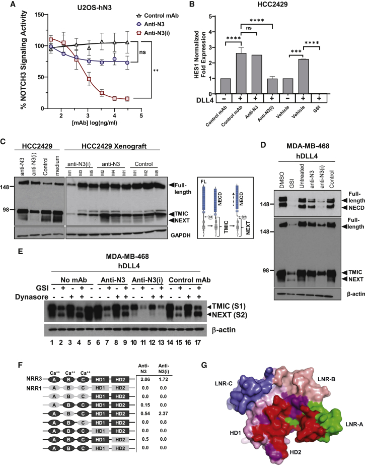 Figure 2