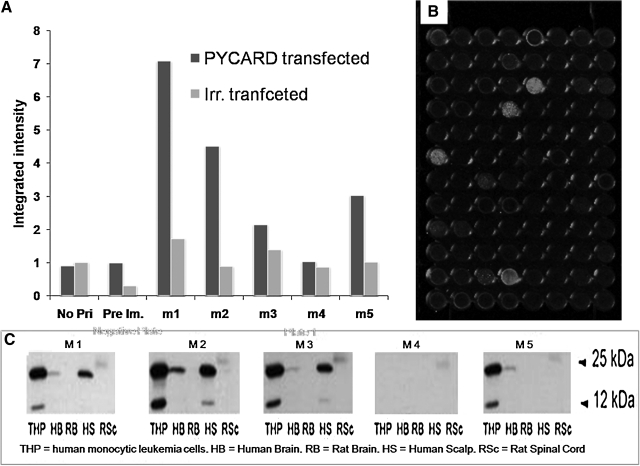 FIG. 4.