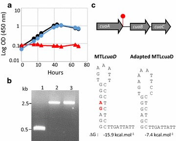 Fig. 6