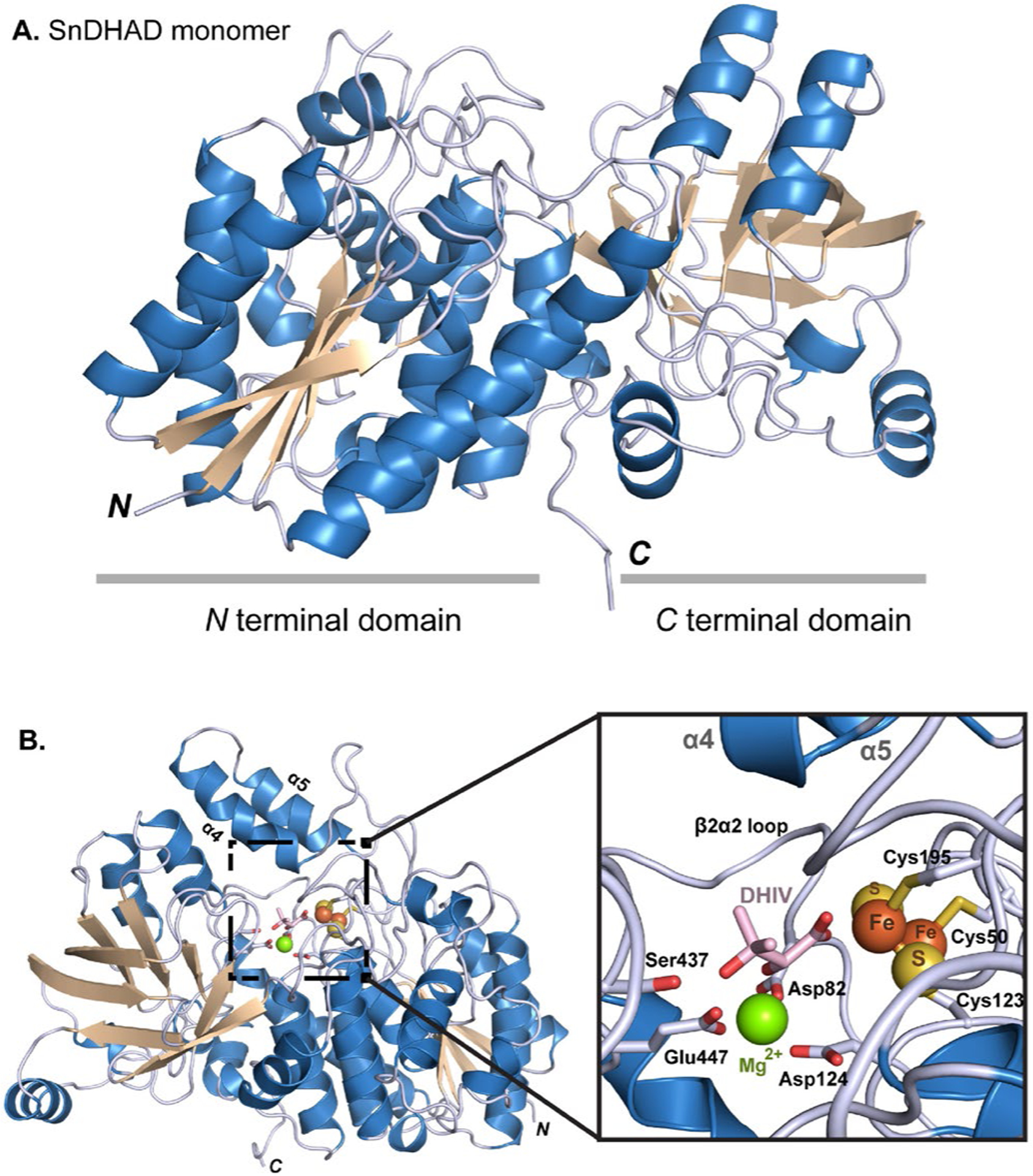 Figure 4.