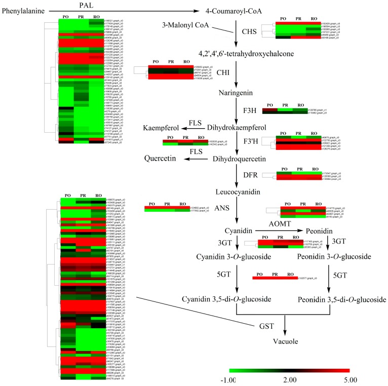 Figure 6