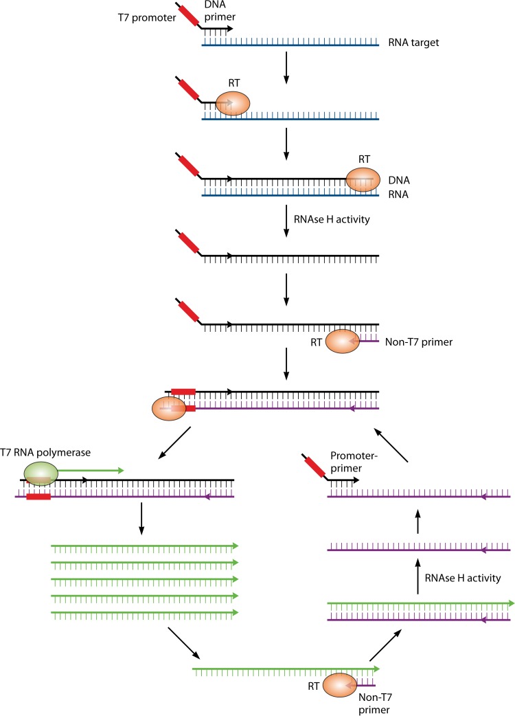 FIG 1