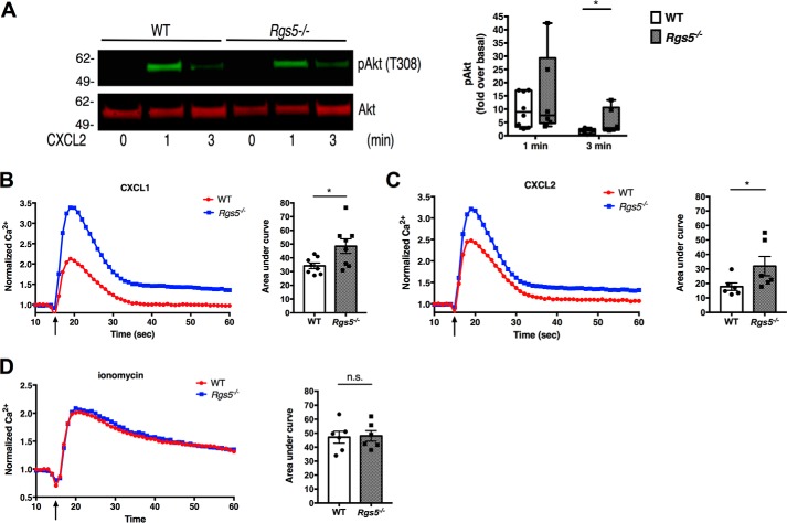 Figure 6.