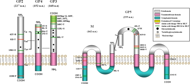 FIG. 7.