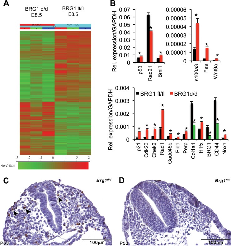 FIG 6