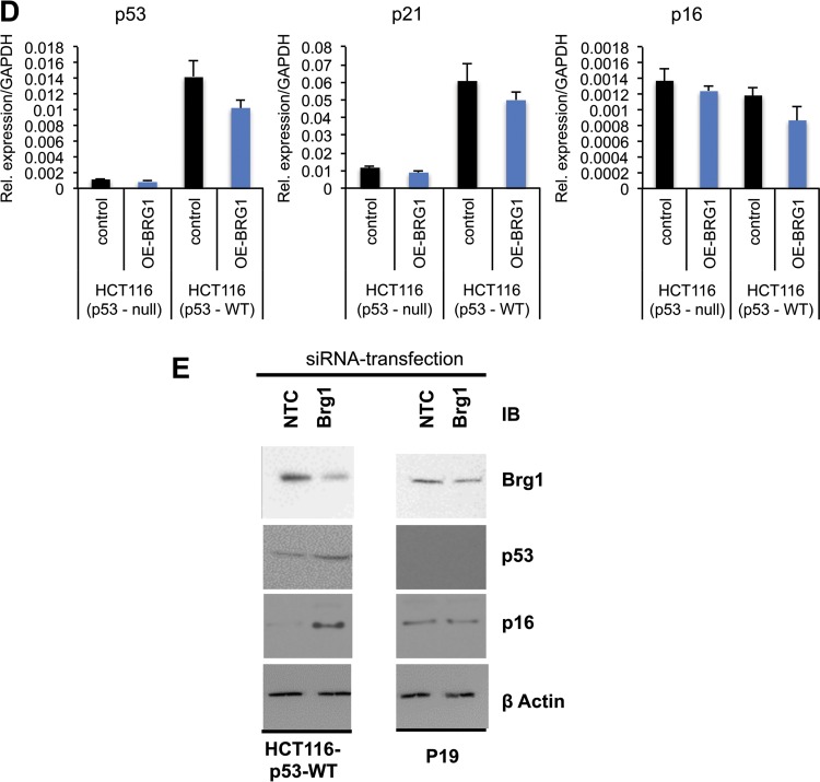 FIG 8