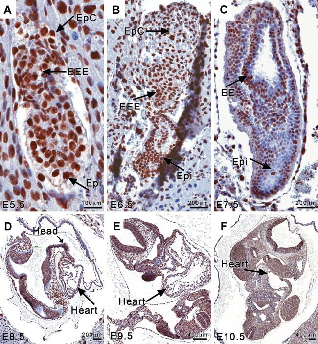 FIG 1