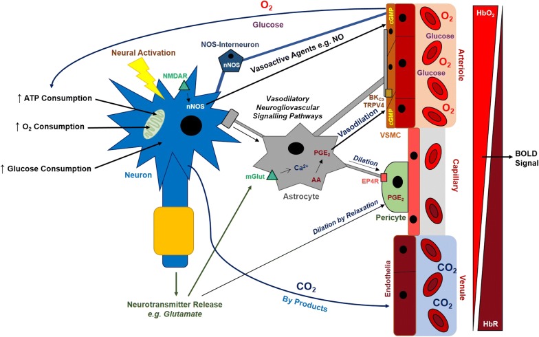 Fig. 2