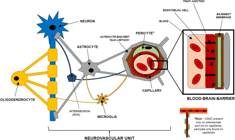 Fig. 1