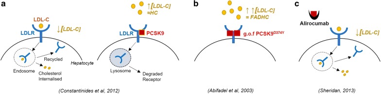 Fig. 7