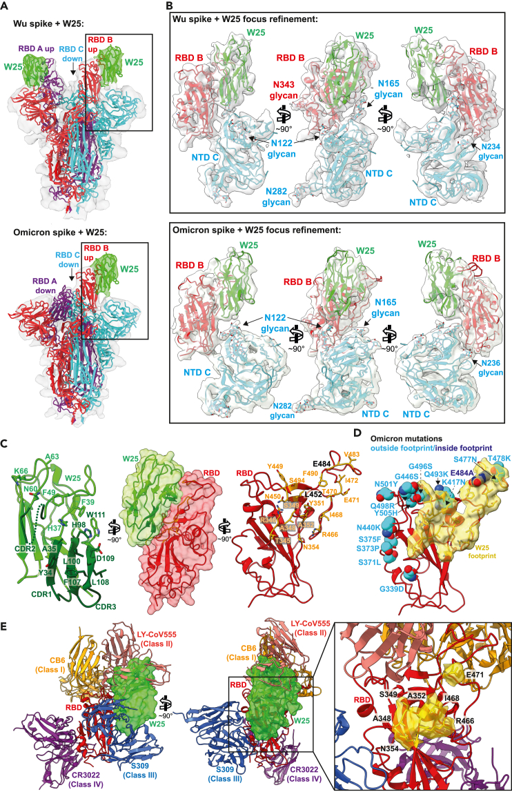 Figure 2