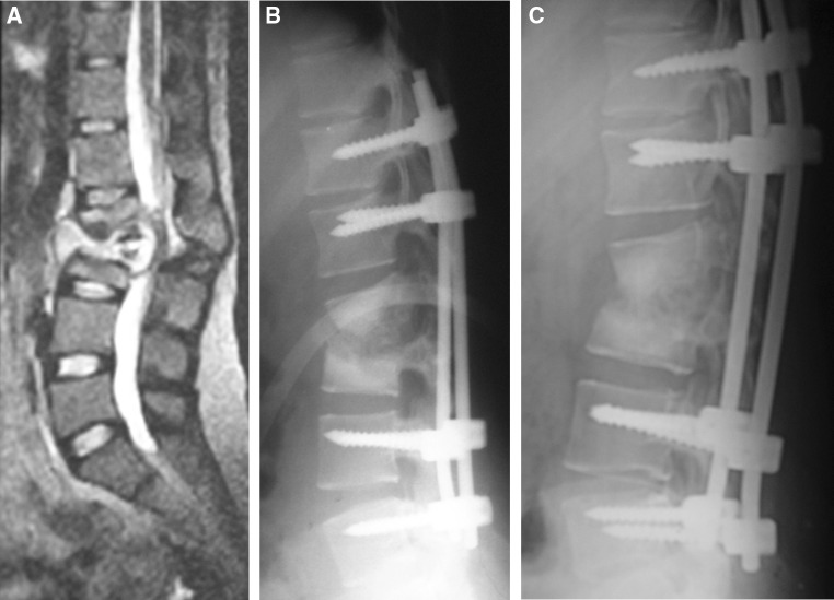 Fig. 2