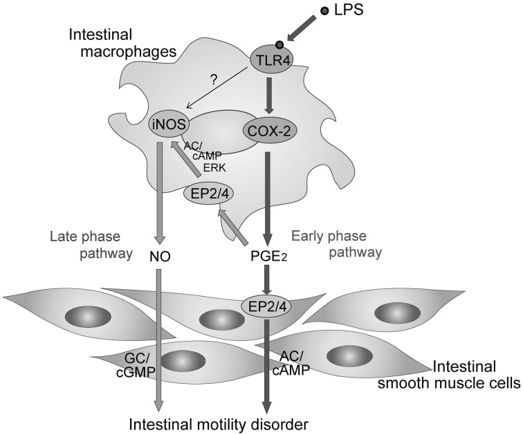 Fig. 5.