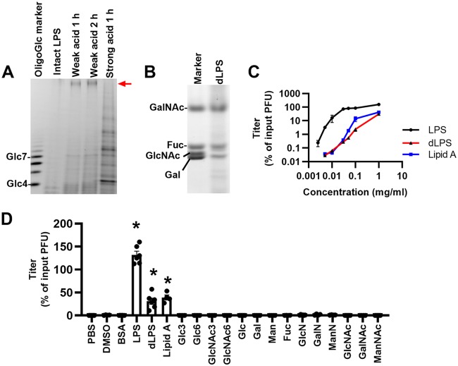 FIG 1