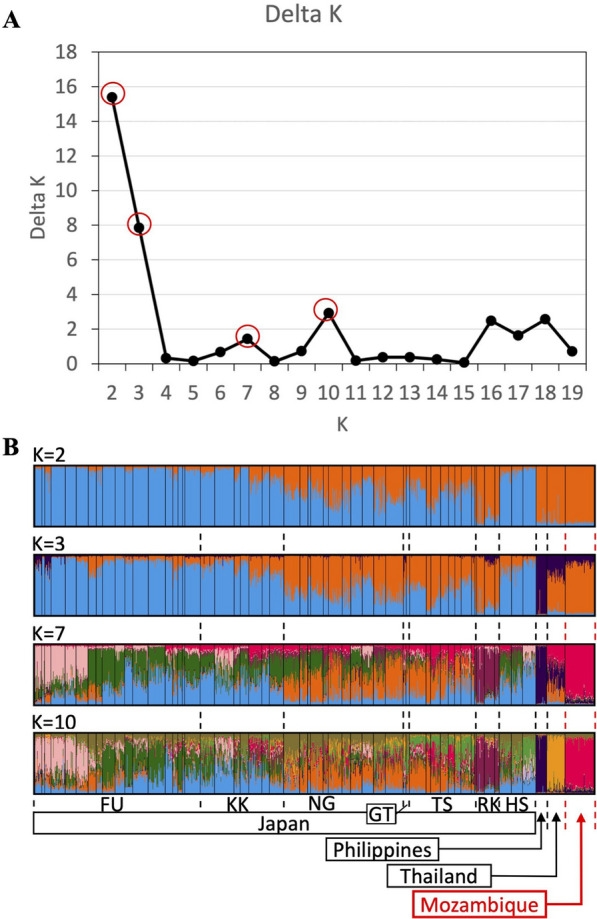 ﻿Fig. 4