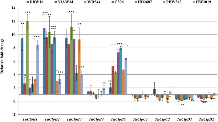 Figure 6