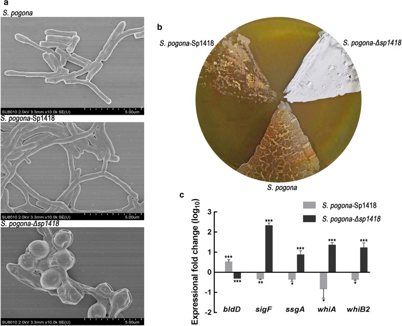 Fig. 4