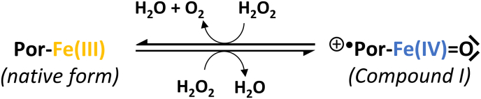 Fig. 10