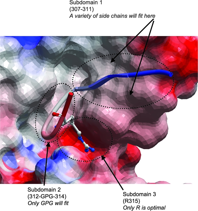 FIG. 1.