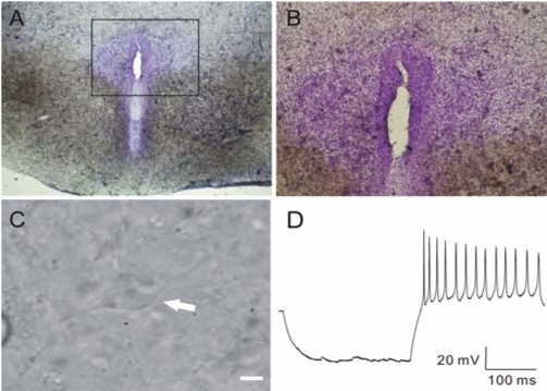 Fig. 3