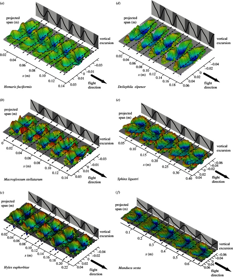 Figure 2.