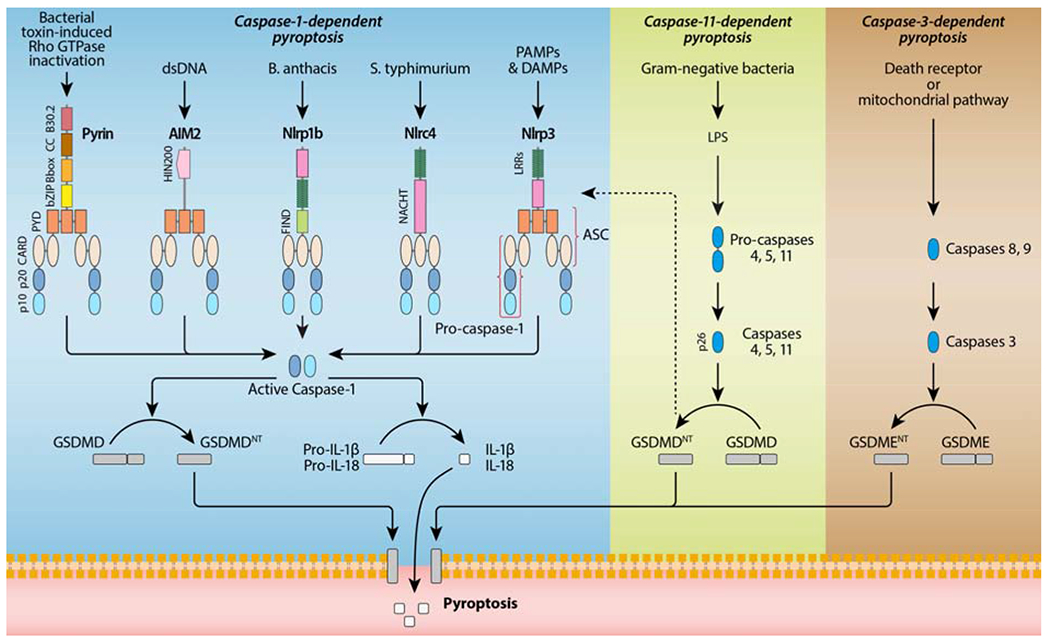 Figure 2.