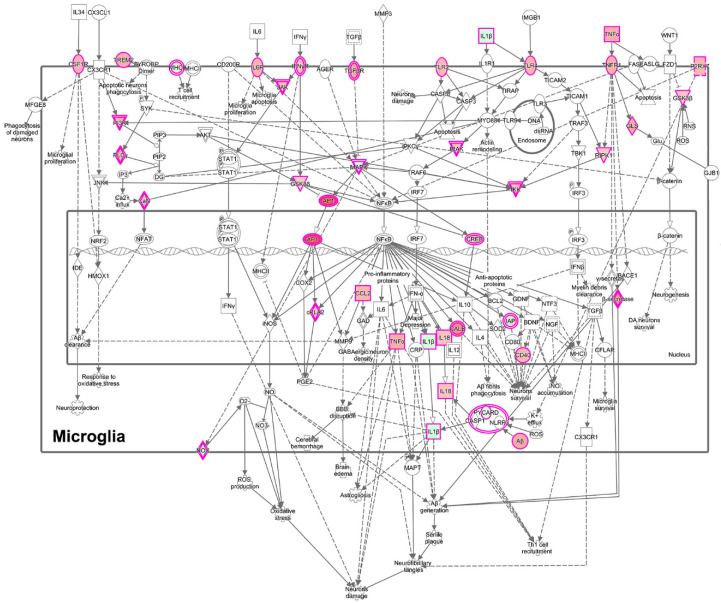 Figure 11