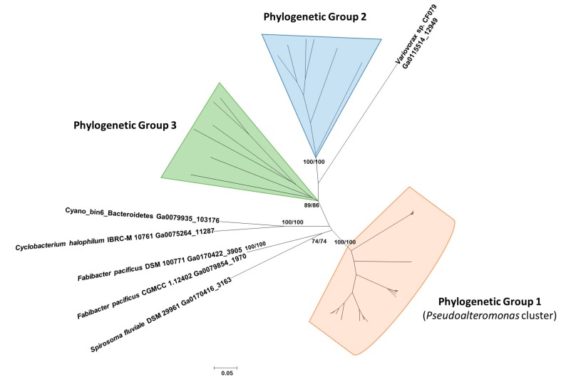 Figure 7