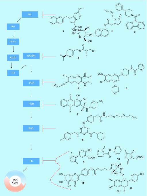 Figure 1. 