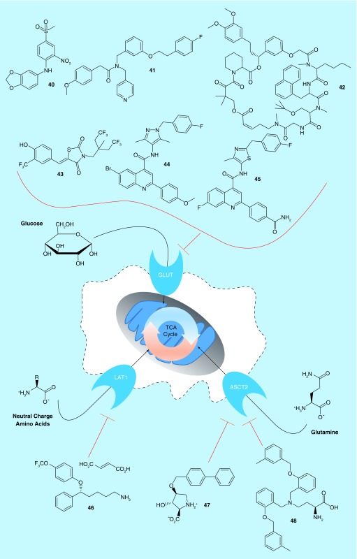 Figure 4. 