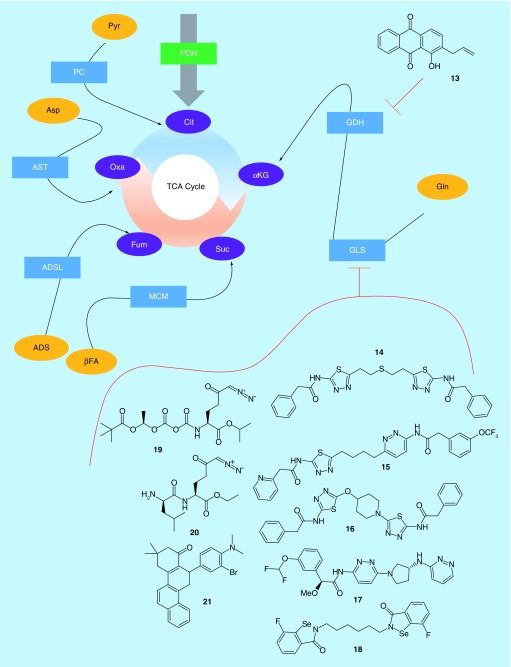 Figure 2. 